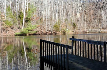Pine Dock