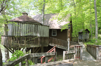 Beech Exterior
